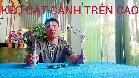 KÉO CẮT TỈA CÀNH CÂY TRÊN CAO HÁI HOA QUẢ ĐA NĂNG THUẬN TIỆN CHO MỌI NHÀ 