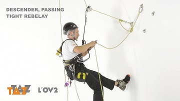 19 TAZ  LOV2 passing rebelay