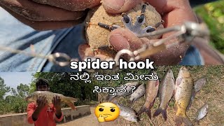 best Fishing video, spider hook Fishing video, common cartoon fish