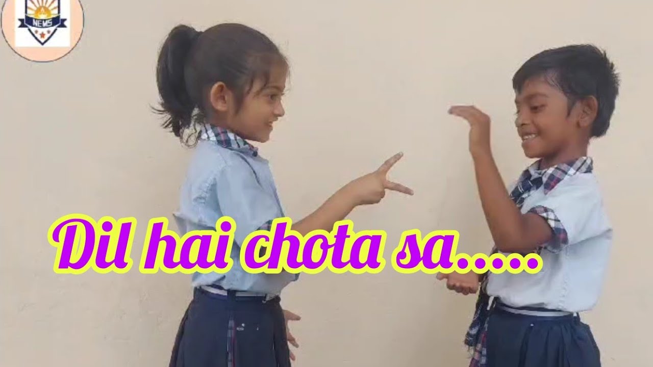 Narayani English Medium School #jaypore #nkt road#koraput #cbse #school