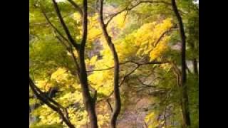 sayang lahir batin(wali band)