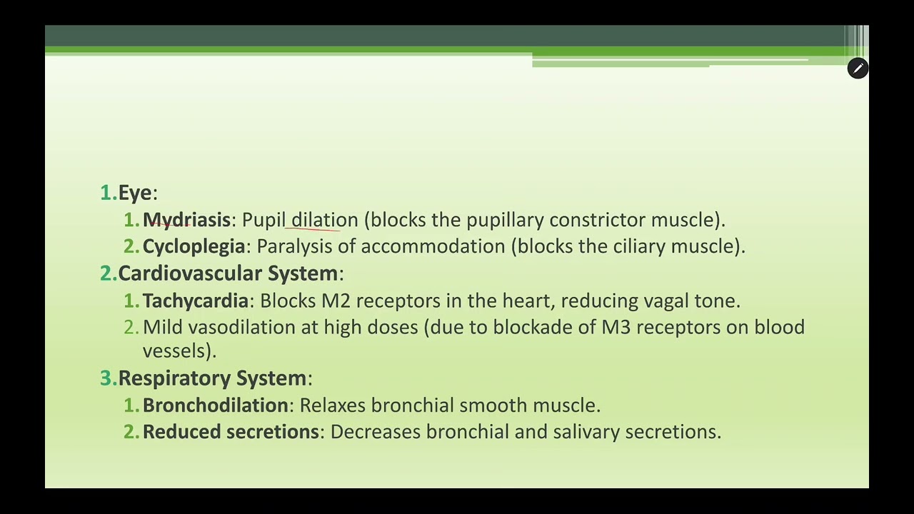 Pharmacology Class Of 2025: Chapter 5 Cholinergic antagonist