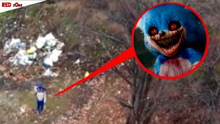 Psychopathic Sonic Is At The Edge Of The Forest - Horror Chat History | #ChatzOne