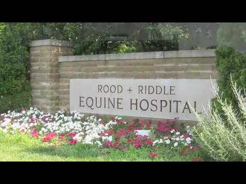 Equine ER book trailer #2