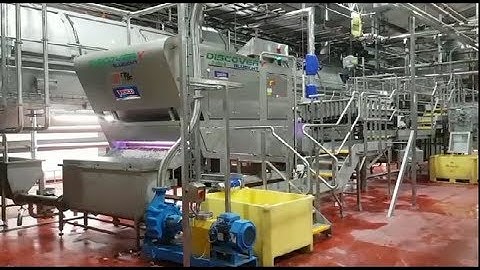 Discovery optical sorting machine for rehydrated beans | Raytec Vision