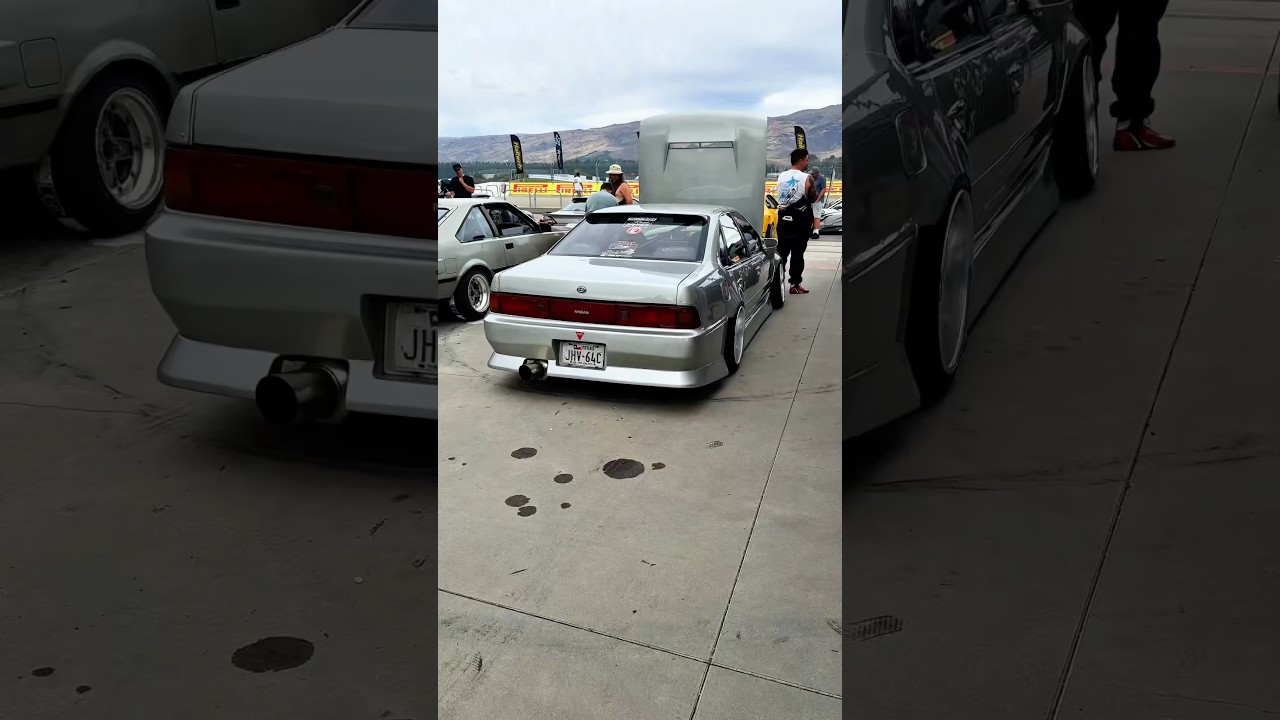 NZ’s hottest cefiro 🇳🇿 