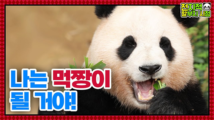 (SUB) Day of Daughter Panda Who Takes After Her Daddy │ Panda World🐼