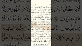 سورة الأنبياء للشيخ خليفة الطنيجي بدون فواصل جودة عالية 1080