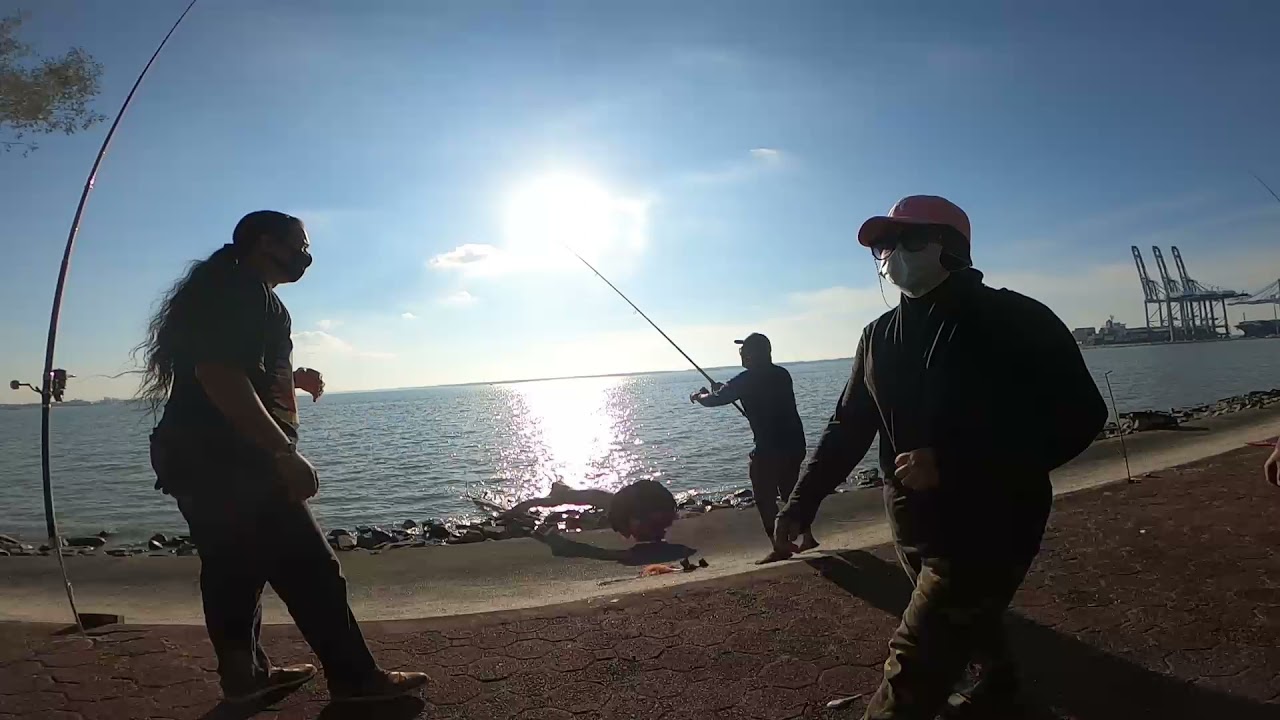 Air Pasang Besar : Ikan Aktif atau Pasif?