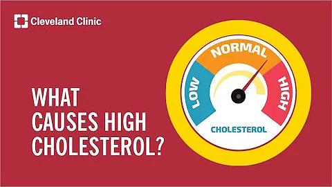 What Causes High Cholesterol?