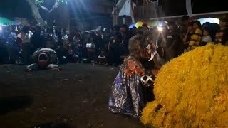 setan alas dan macan alas barong lancing singobarong singotrunan || live kuliner singotrunan