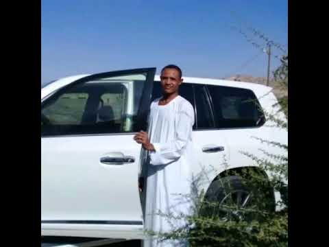 مدحة القوم كلمات الراوي سيف الدين اداء المادح كرم الدين محمد