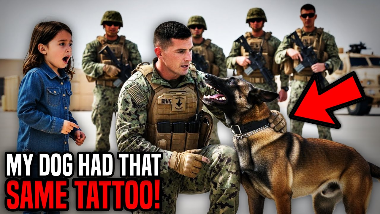 Маленькая девочка сказала, что у моей собаки такая же татуировка — пятеро бойцов спецназа замерли...
