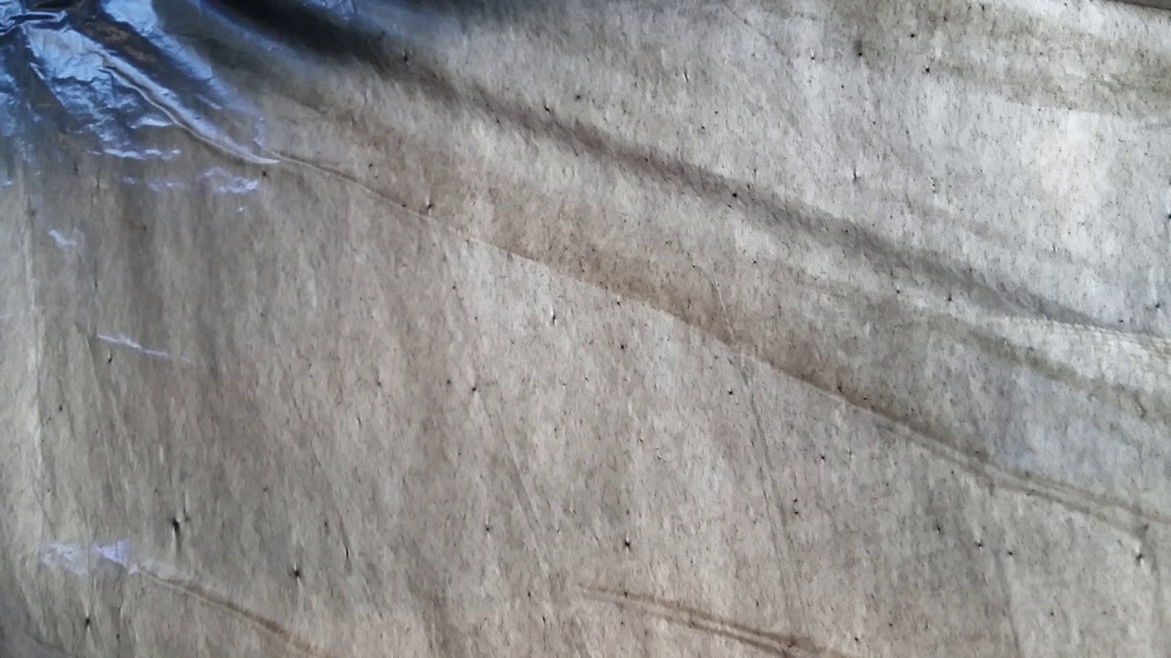 Test guitar fun theory