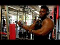 Bulking 101: The Ultimate Guide - DAY243 ARMS DAY