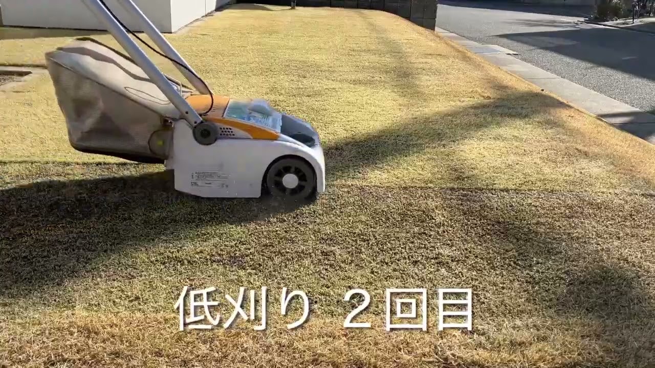 春の芝生管理｜低刈りのやり方とタイミング【実例付き】