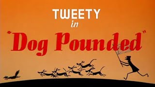 Looney Tunes Dog Pounded Opening And Closing