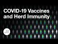 COVID-19 Vaccines and Herd Immunity