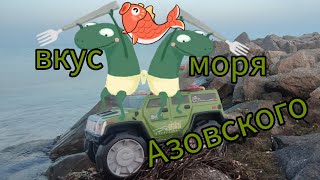 Море Азовское на цвет и вкус. Приморск…2023.