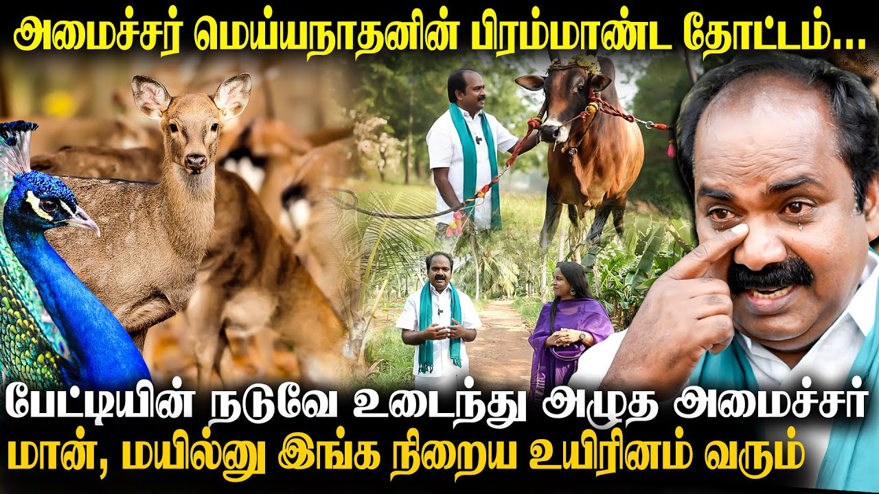 இந்த தோட்டம் தான் என் இதயம்… உடைந்து அழுத Minister Siva.V. Meyyanathan | The Fire Media