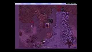 Tibia fortera war - Old insane Team!