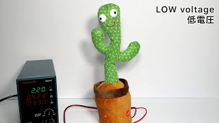 If LOW Voltage is Applied to the "Dancing Cactus" / and Behind-the-Scenes