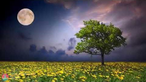 Deep Sleep Guided Meditation, Body Scan to Ease Tension Release Negativity (with Rainfall)