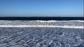 房総の海#17 大風の日の貝殻拾い／クログチキヌタ／フクロガイ／カコボラ／ナガスズカケボラ