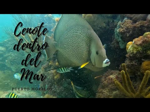 Buceo en Ojo