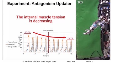 Online Learning of Joint-Muscle Mapping Using Vision in Tendon-Driven Musculoskeletal Humanoids