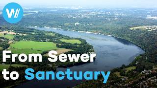 The Emscher How Europes Filthiest River Turned Into A Paradise Water Is Our Future 35