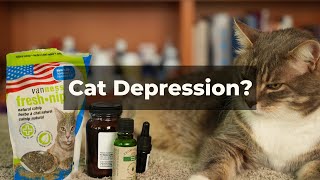 Can your cat get depressed?