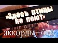 Здесь птицы не поют аккорды и бой.