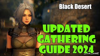 [Black Desert] Beginner Gathering Guide 2024 Updated! Gear, Items and Buffs to Make Billions!