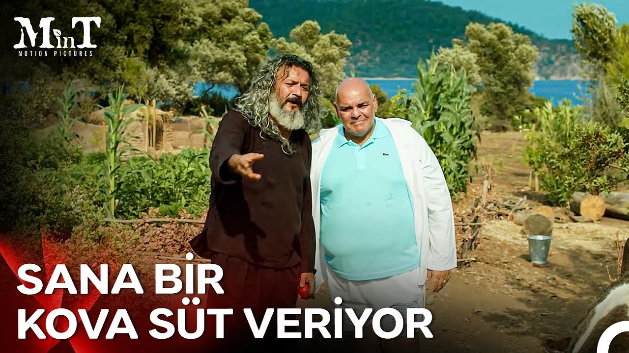 Mustafa Ali'den Cavit Bey'e Hayat Dersi... - Mandıra Filozofu