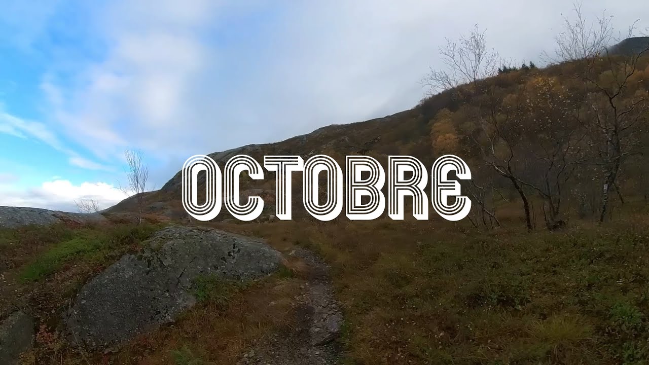 Octobre (Francis Cabrel) - Reprise