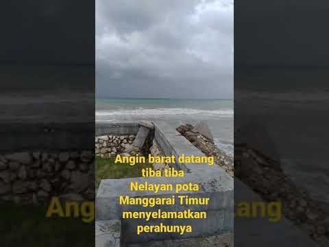 Video: Apakah angin barat datang dari barat?