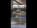 LAPD Shoots and Kills Dog As Owner Celebrates Knicks' NBA Championship