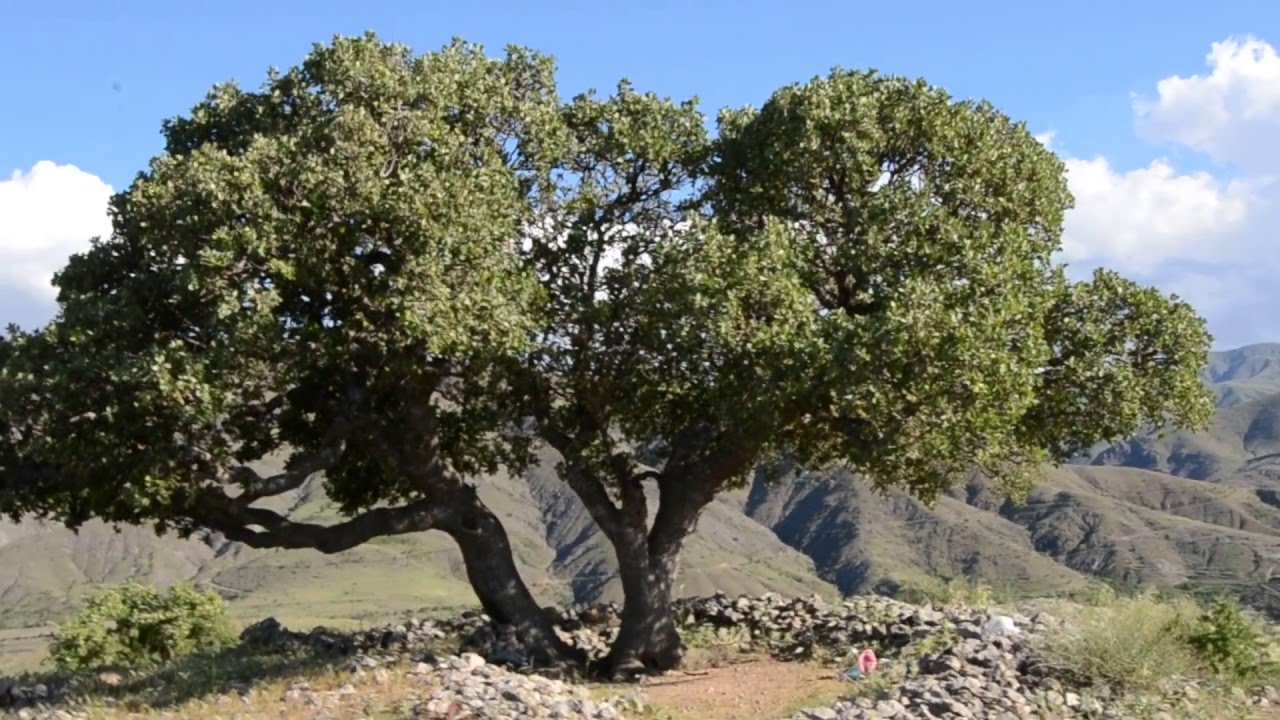 Bahri (Erenli) Malatya -Doruktaki Ziyaret 8.5.16