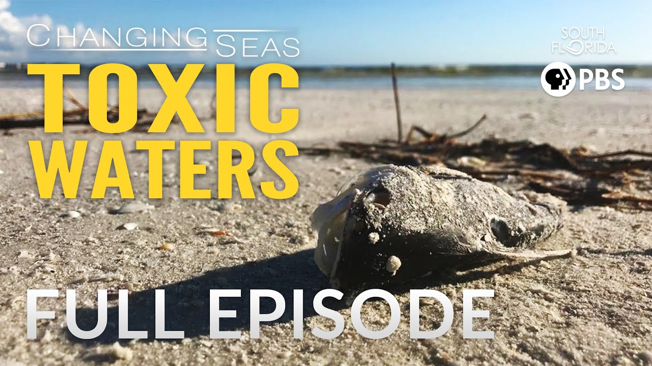 Toxic Waters | Changing Seas