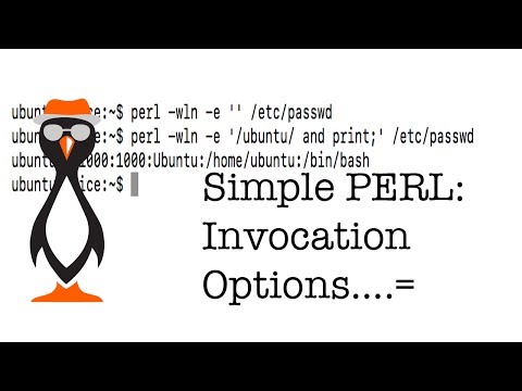 Simple PERL Invocation Options