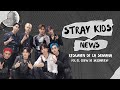 Stray Kids News | Resumen de la semana Que pasó en stayville?