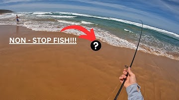NON STOP FISH! Epic surf fishing 