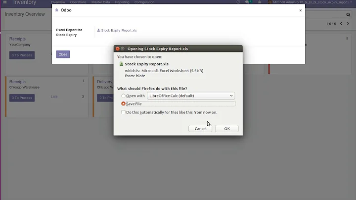 How to Create Stock Inventory Ageing Expiry Report | Odoo Apps Features | #odoo16 #inventory