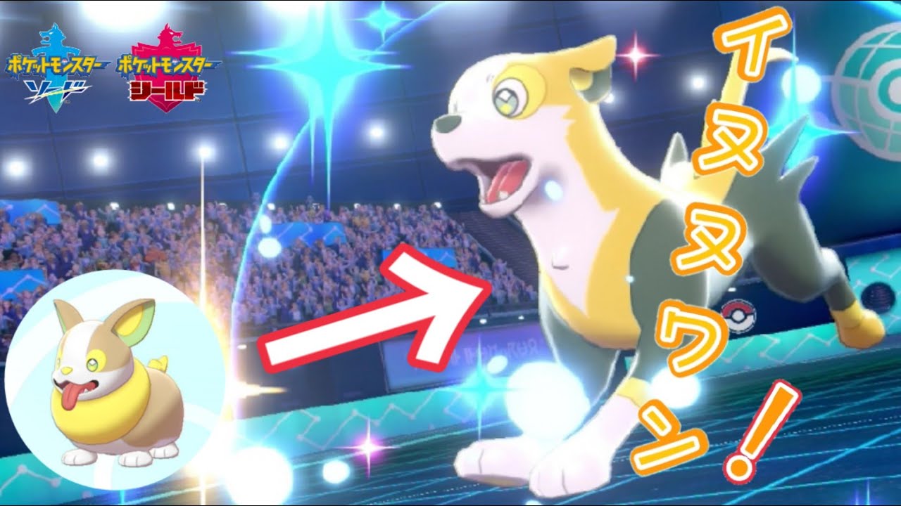 ワンパチの進化形 パルスワンでイヌヌワン ポケモン剣盾ランクバトル Youtube