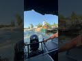 Трегуляй 🏝️🛶