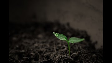 Daily Farm-level Soil Moisture & India Cropland Data Derived Through Satellites