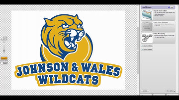 How to make a vector easy | The best Vector Graphic Software | Vector Magic