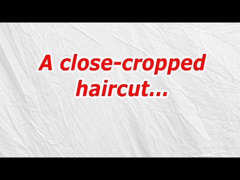 a-close-cropped-haircut-(codycross-answer/cheat)