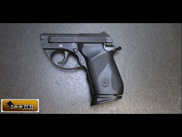 Taurus Pt 22 Poly 22 Lr Gun Review Youtube